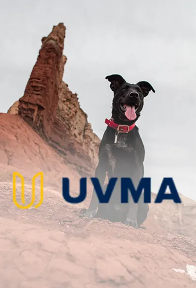 UVMA logo over image of dog in the desert